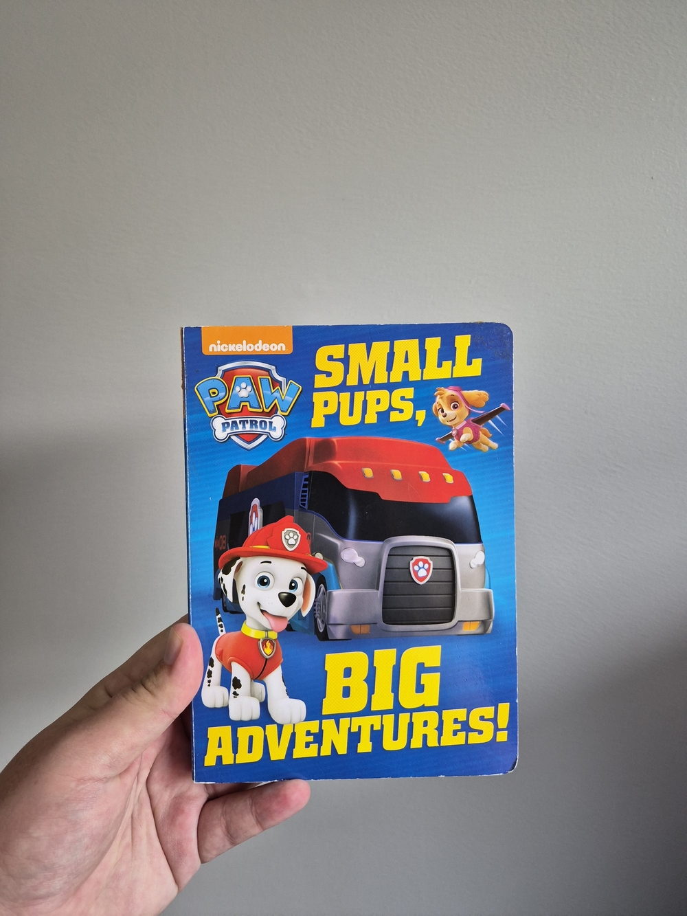 Paw Patrol Small Pups Big Adventures Opposites Educational Board Book